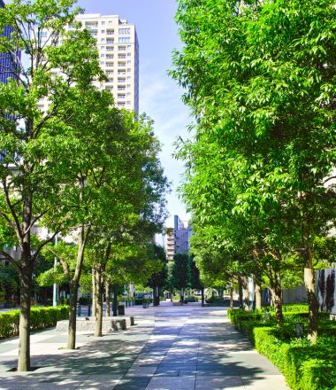 Meio Ambiente